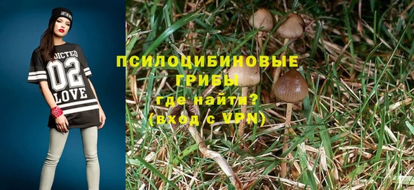 синтетический гашиш Приозерск