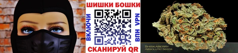 Купить закладки  Норильск  Бошки марихуана ГИДРОПОН 